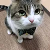 catmaow0192