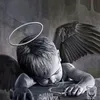bielvv8_