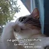 phamhuynhduc