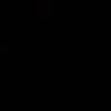 rw.299