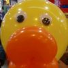 lazyduck_28