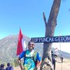 alfarizi_745