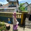aulia.mukarromah