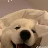 ju.wedr