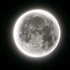 love_night6