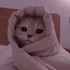 yapirozoksmyasom