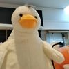 saltlamp234