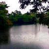 adishajahan95
