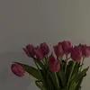 cris_div