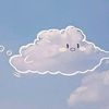 sunflwr_skies