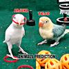 AnimalsPrediction