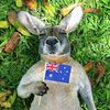 austzippy