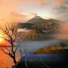 billysenjaya8