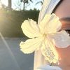 princess_world56
