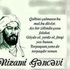 vahid.yusifzade