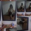 yamilethrodrguez59