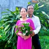 dinhnam2476