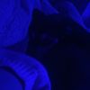 username_150508xx