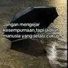 mantapp529