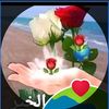 mdrofiqulislam5605