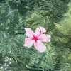 tanchik_170