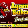 ayambakarberkah07