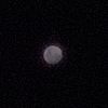 mnlight226