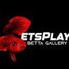 LetsplayBetta