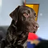 krzysztofpako7