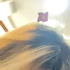 vthmho10
