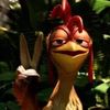 chicknjoee
