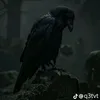 jsbsjhs3