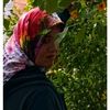 hayat_s2ulku_02