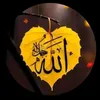 zhwana.hassan