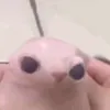 majonezespunci