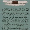 rab_aza42