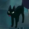 ezarelcatboy