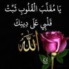 user9861004424620