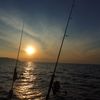 thanison_210554