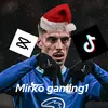 mirko.gaming1