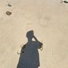 si_aiizz