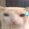 wonudangiu_1707