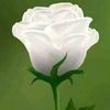 user6281014825607
