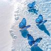 aminabousouf5