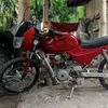 zandro29xsyang1