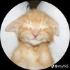 kate_9522