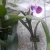 huynhdo595