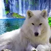louve.white