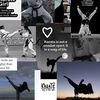 cewe_karate_
