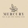 mercury.spa